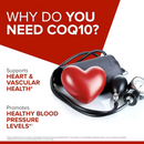 Qunol Ultra CoQ10 100mg Softgels – High Absorption Heart & Energy Support 90 Count