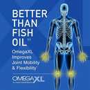 OmegaXL Joint Health Supplement 3 Pack – Omega-3 Softgels for Mobility & Flexibility (300 Count)