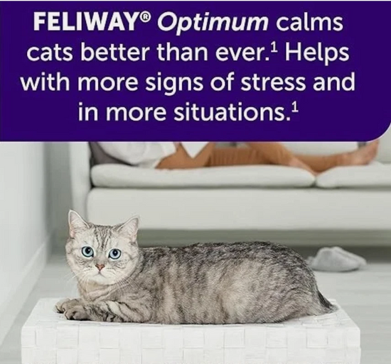 FELIWAY Optimum 30 Day Refill x 3 Value Pack – 48ml Cat Calming Diffuser