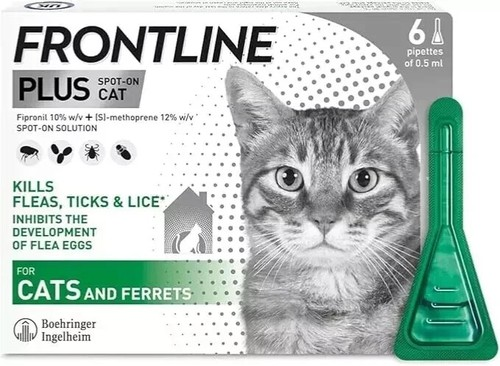 FRONTLINE Spot On Plus Flea & Tick Treatment for Cats & Ferrets – 6 Pipettes