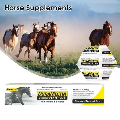 Durvet Duramectin Equine Wormer Paste – 1 Tube Exp July 2026
