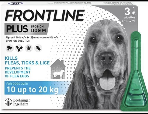 FRONTLINE Spot On Flea, Tick & Lice Treatment for Medium Dogs 10–20kg